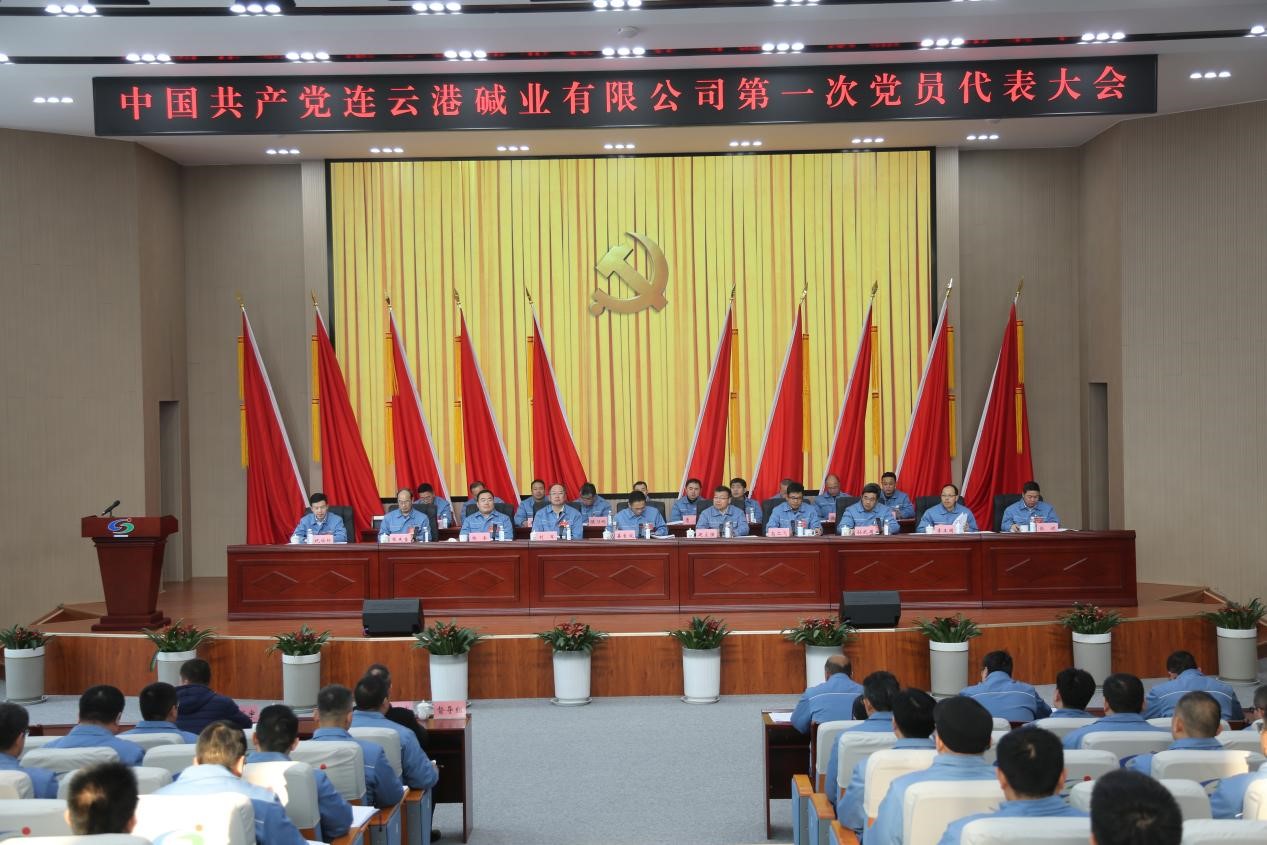 中国共产党连云港碱业有限公司党员代表大会召开